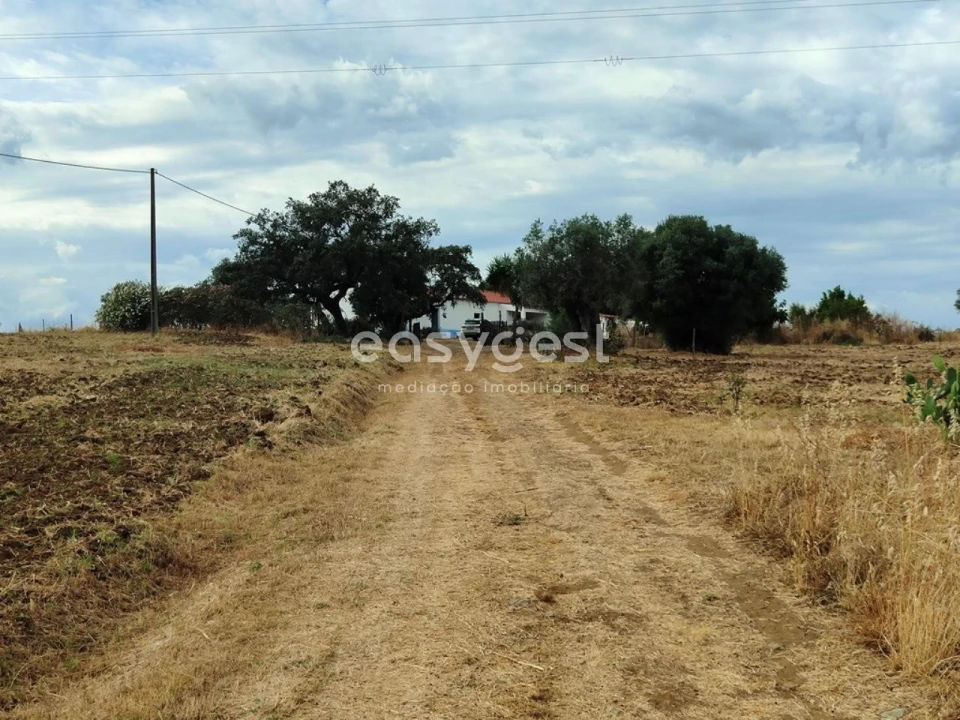 Quinta T2 para Venda em Beja (Salvador e Santa Maria da Feira) Foto 25