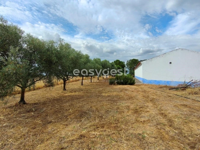 Quinta T2 para Venda em Beja (Salvador e Santa Maria da Feira) Foto 3