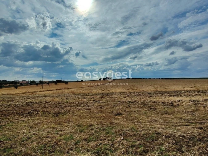 Quinta T2 para Venda em Beja (Salvador e Santa Maria da Feira) Foto 19