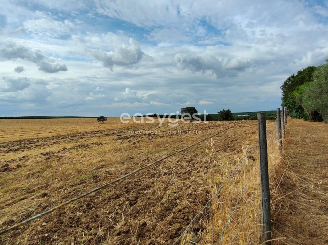 Quinta T2 para Venda em Beja (Salvador e Santa Maria da Feira) Foto 20