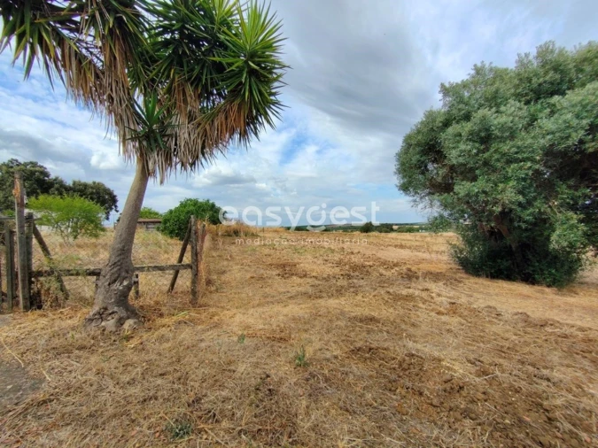 Quinta T2 para Venda em Beja (Salvador e Santa Maria da Feira) Foto 22