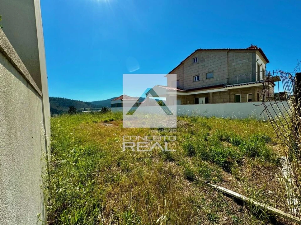 Terreno para Venda em Campo e Sobrado Foto 10