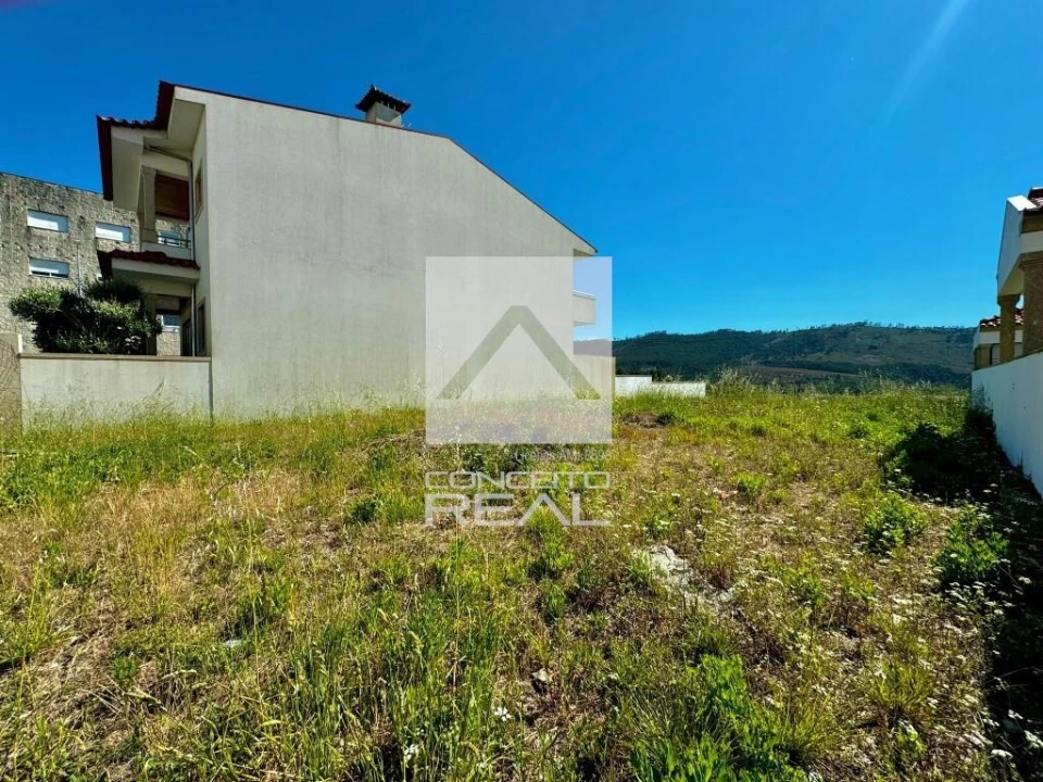 Terreno para Venda em Campo e Sobrado Foto 8