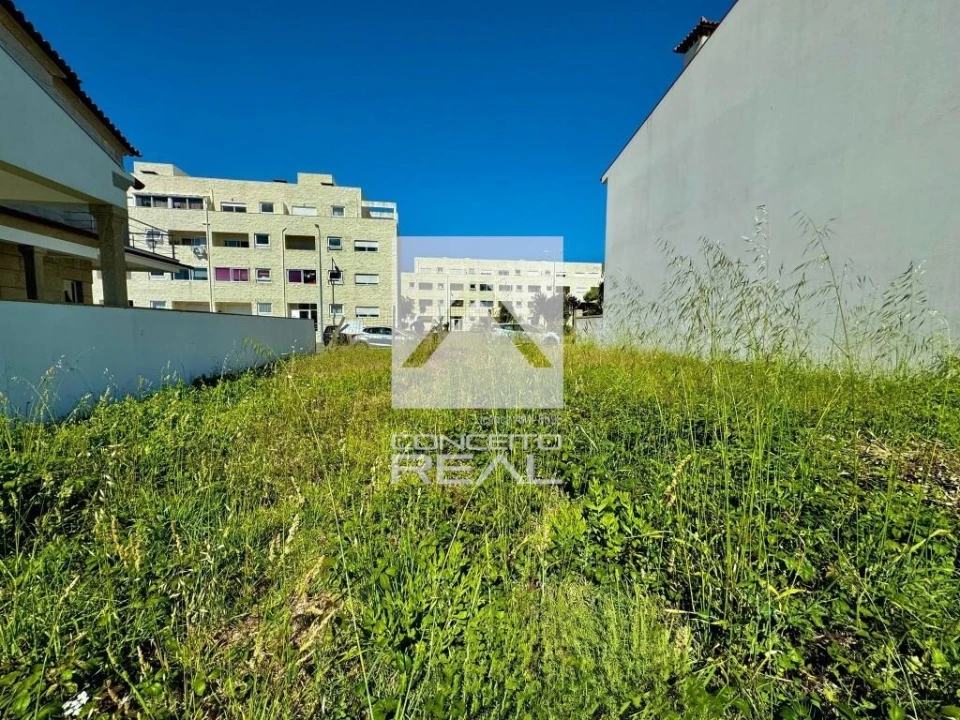 Terreno para Venda em Campo e Sobrado Foto 7