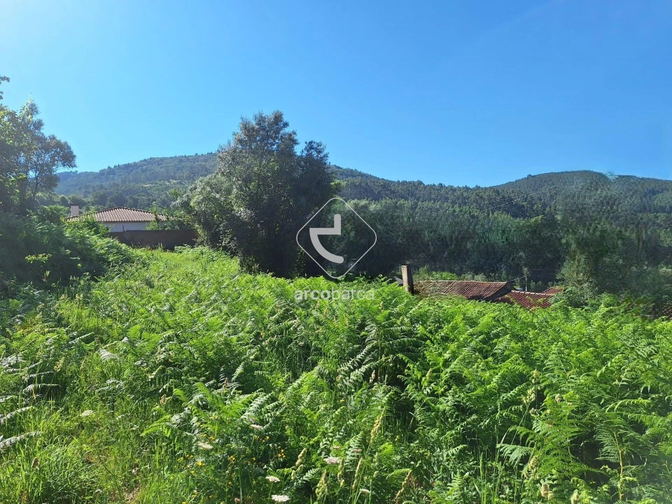 Terreno para Venda em Bárrio e Cepões Foto 5