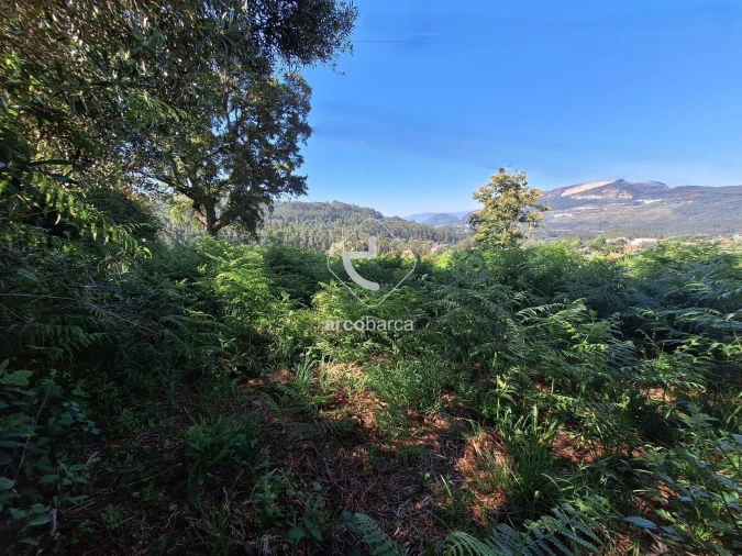 Terreno para Venda em Bárrio e Cepões Foto 11