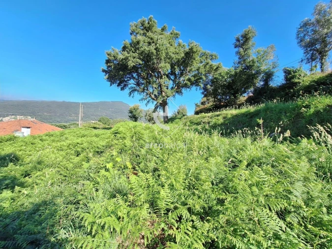 Terreno para Venda em Bárrio e Cepões Foto 12