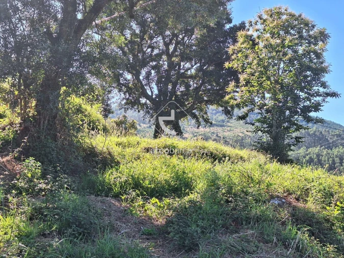 Terreno para Venda em Bárrio e Cepões Foto 10