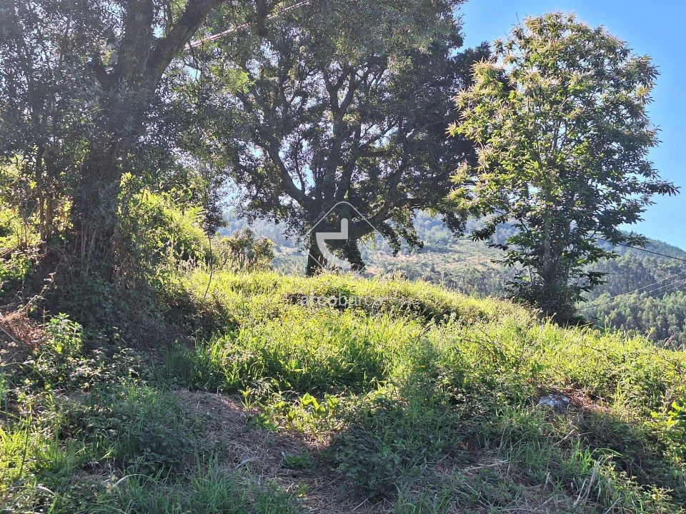 Terreno para Venda em Bárrio e Cepões Foto 10