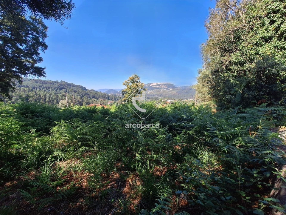 Terreno para Venda em Bárrio e Cepões Foto 4