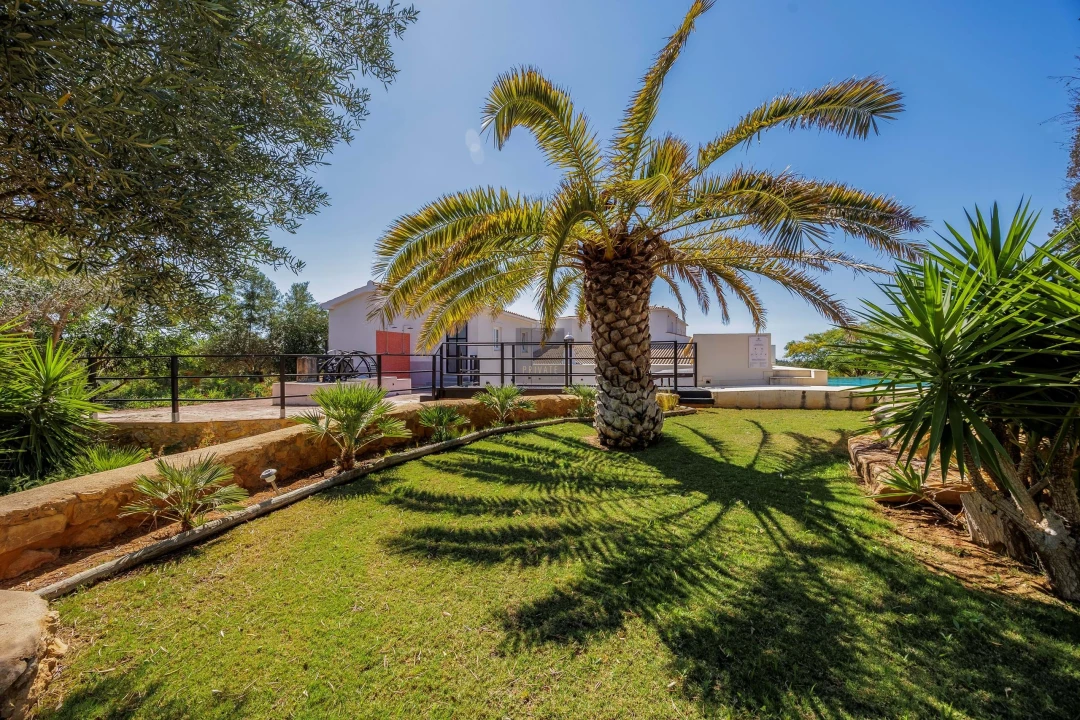 Negócio para Venda em Olhão Foto 8