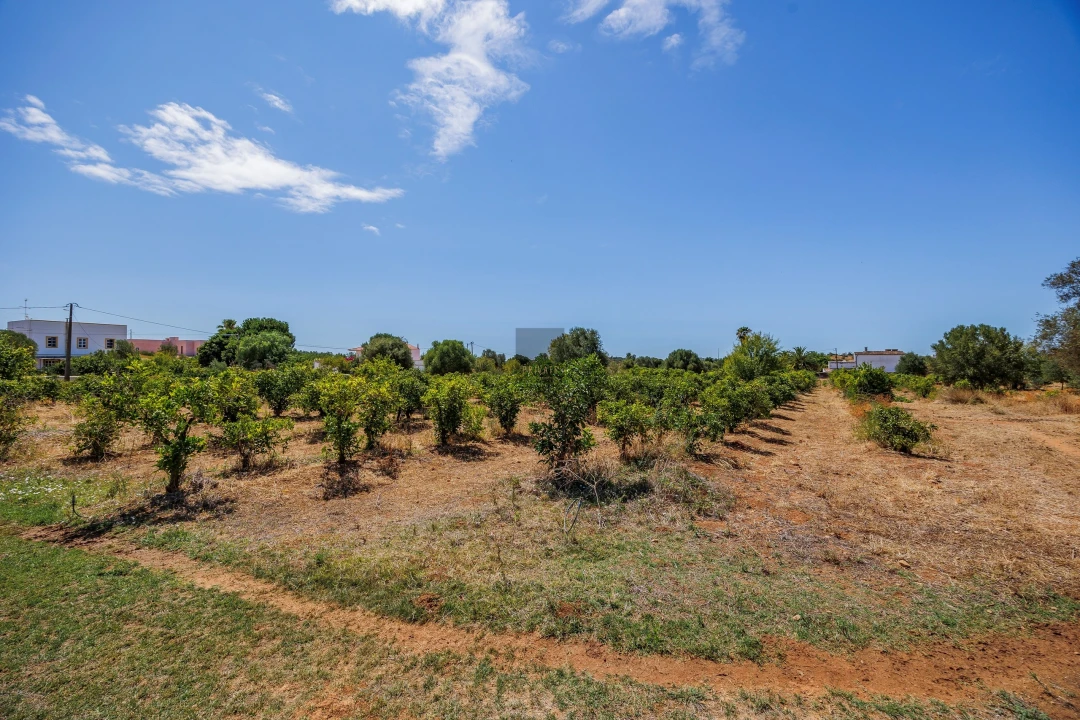 Negócio para Venda em Olhão Foto 29