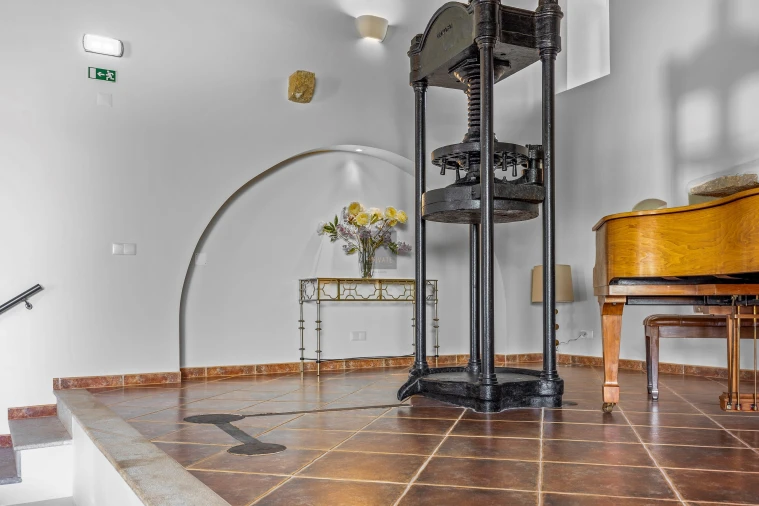 Negócio para Venda em Olhão Foto 46