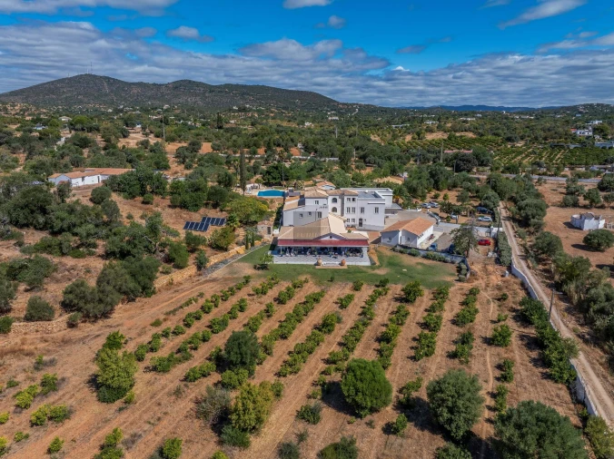 Negócio para Venda em Olhão Foto 82
