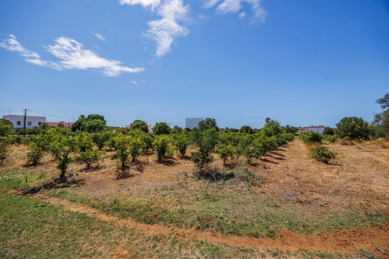 Negócio para Venda em Olhão Foto 29