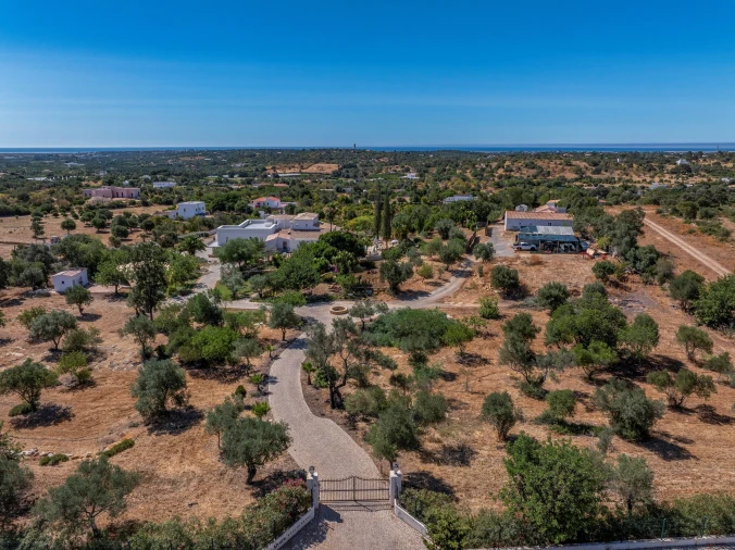 Negócio para Venda em Olhão Foto 71