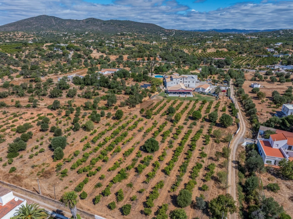 Negócio para Venda em Olhão Foto 79