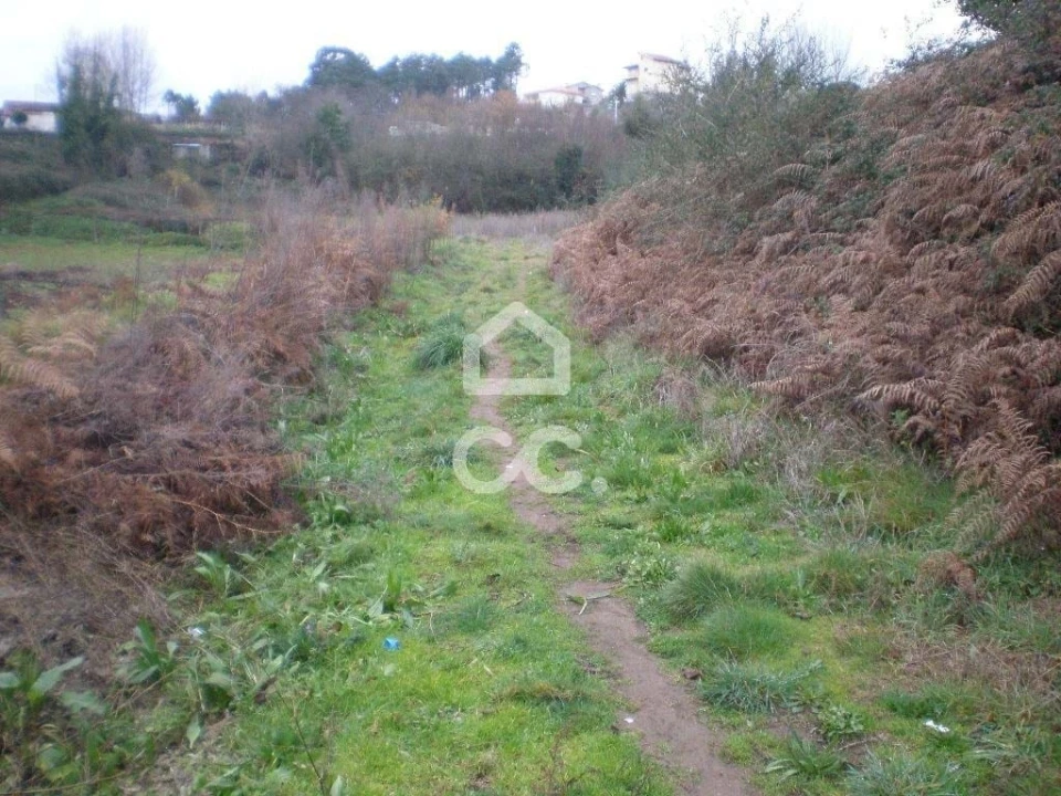 Terreno para Venda em Cernadelo e Lousada (São Miguel e Santa Margarida) Foto 2