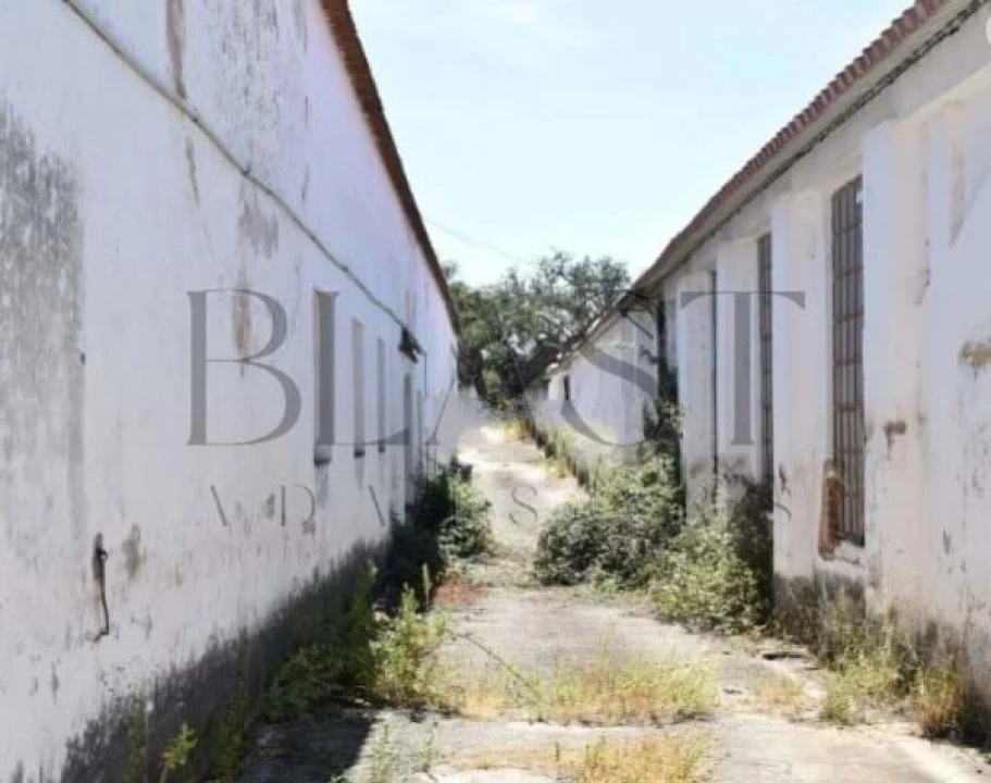 Terreno para Venda em Vendas Novas Foto 3