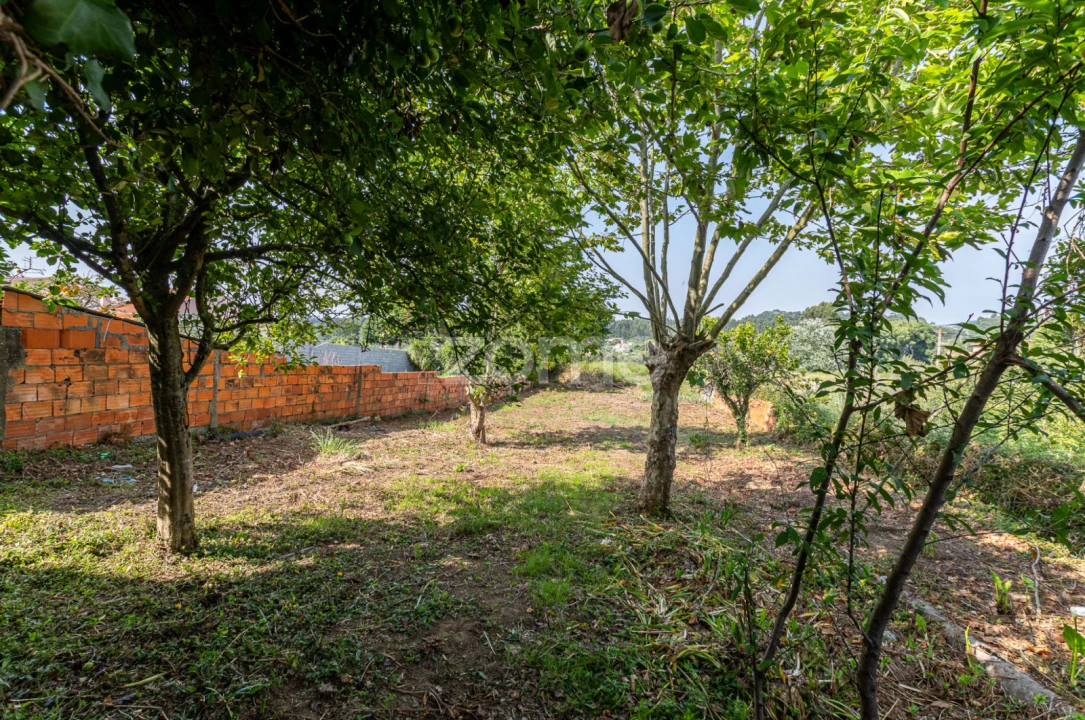 Terreno para Venda em Anta e Guetim Foto 14