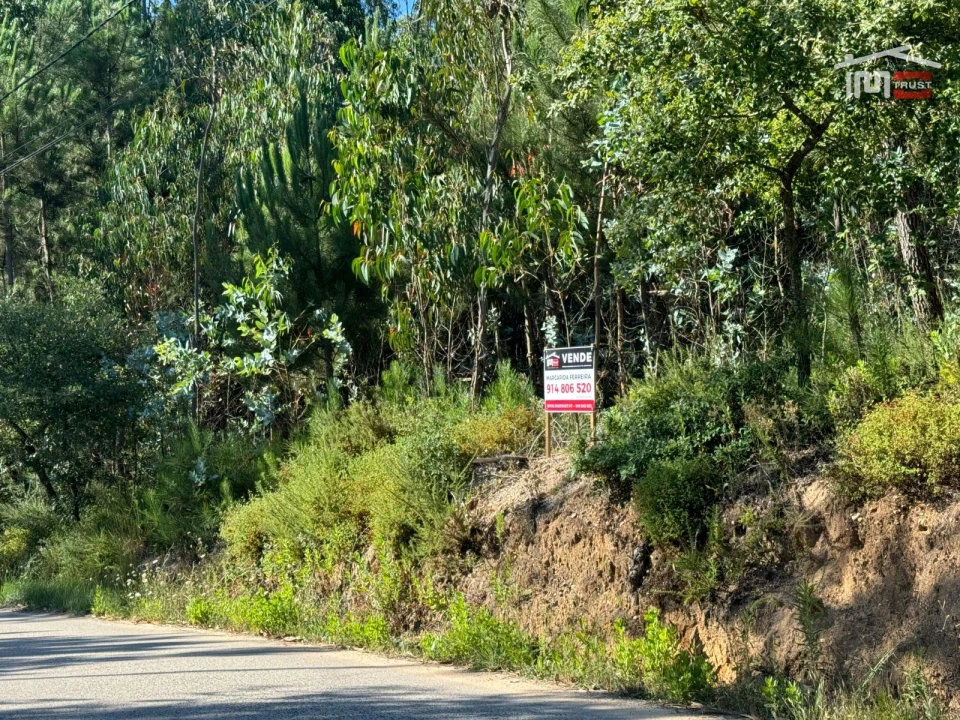Terreno Agricola ou Rústico para Venda em Atouguia Foto 3