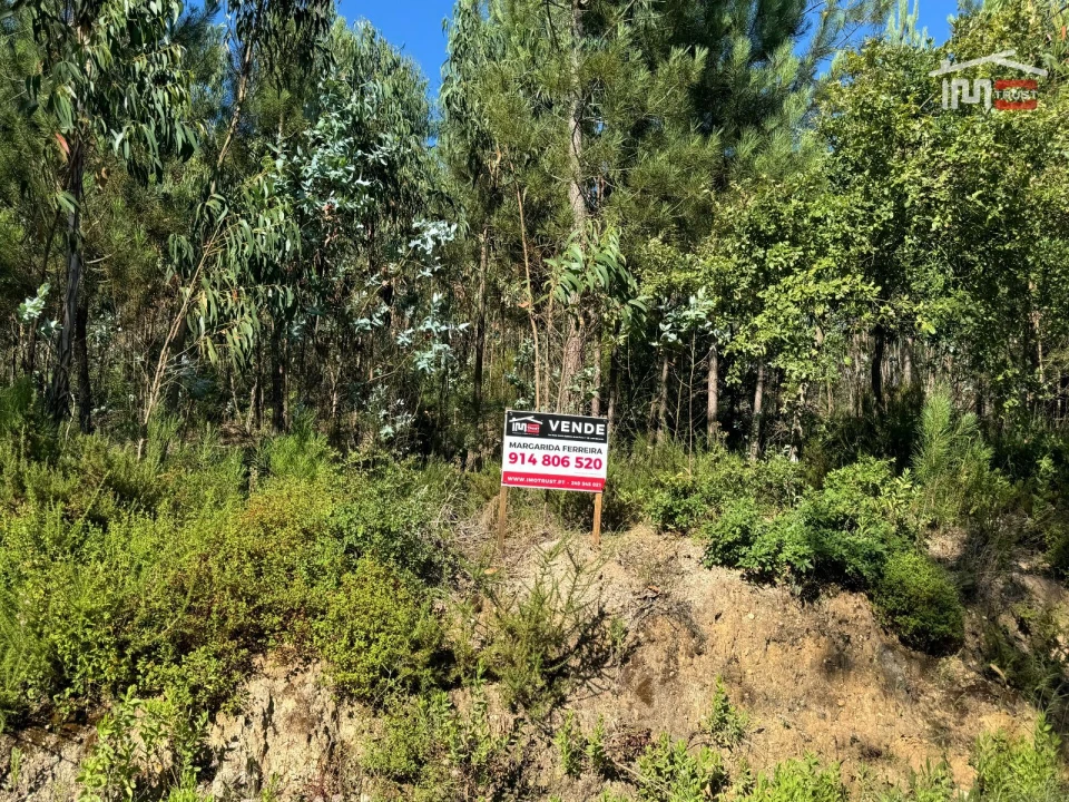 Terreno Agricola ou Rústico para Venda em Atouguia Foto 8