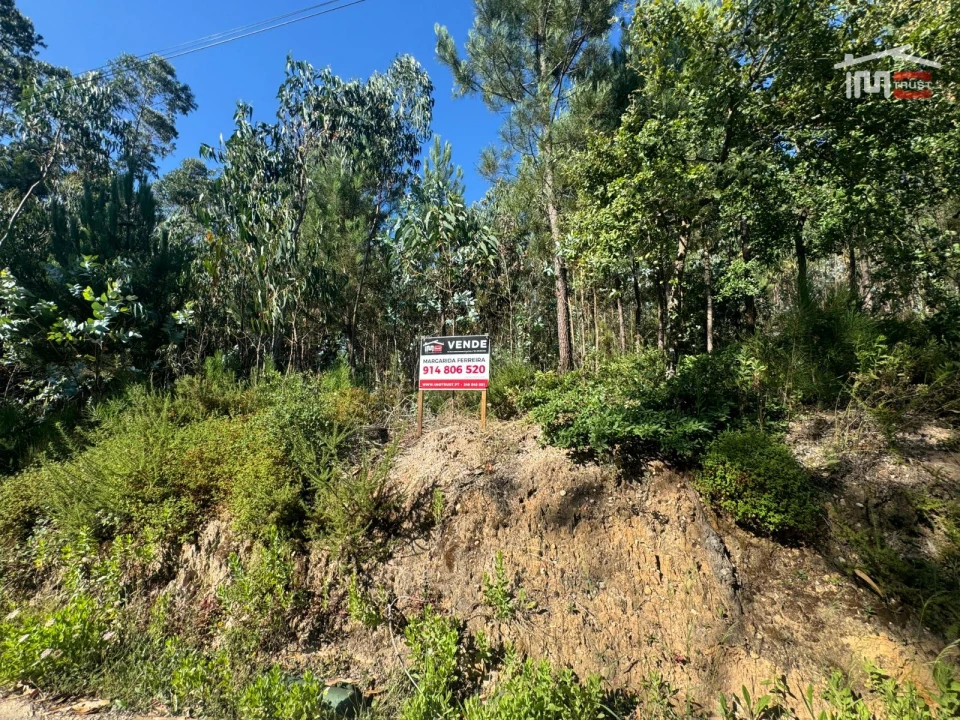 Terreno Agricola ou Rústico para Venda em Atouguia Foto 9