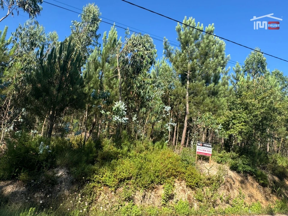 Terreno Agricola ou Rústico para Venda em Atouguia Foto 10