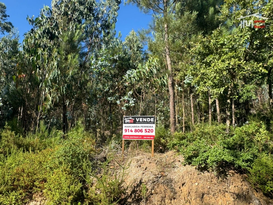 Terreno Agricola ou Rústico para Venda em Atouguia Foto 12