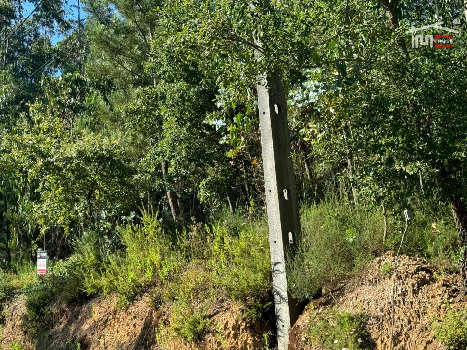 Terreno Agricola ou Rústico para Venda em Atouguia Foto 15