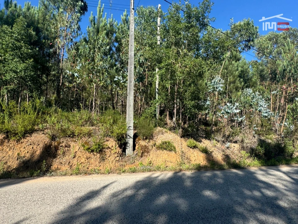 Terreno Agricola ou Rústico para Venda em Atouguia Foto 16
