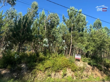 Terreno Agricola ou Rústico para Venda em Atouguia