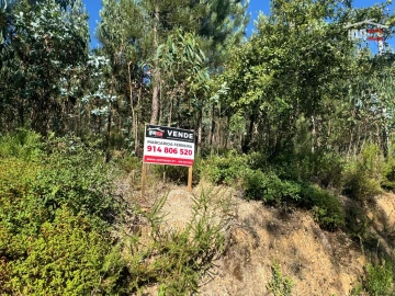 Terreno Agricola ou Rústico para Venda em Atouguia