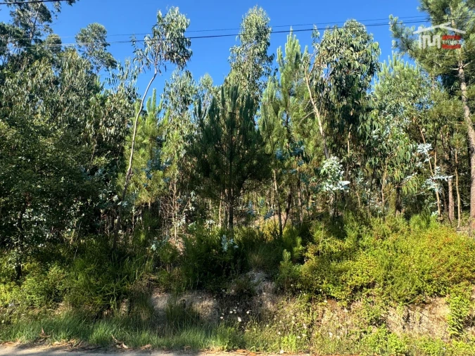Terreno Agricola ou Rústico para Venda em Atouguia Foto 4