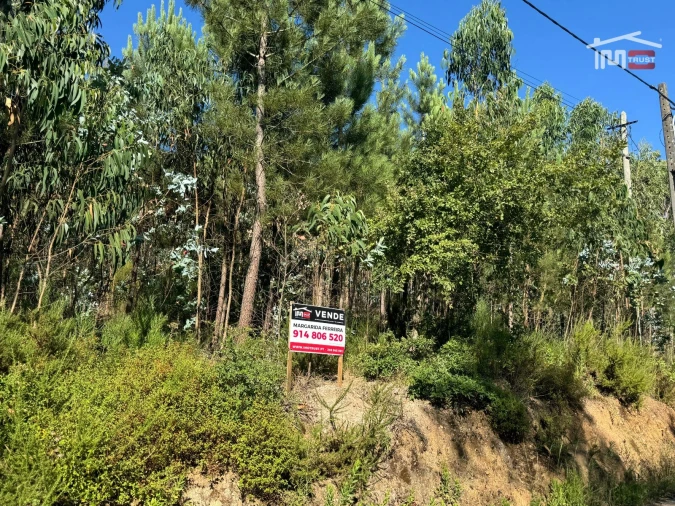 Terreno Agricola ou Rústico para Venda em Atouguia Foto 6
