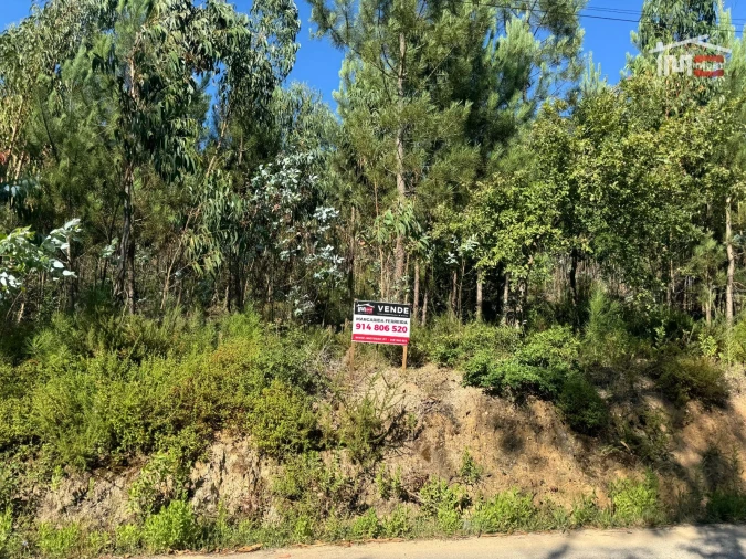 Terreno Agricola ou Rústico para Venda em Atouguia Foto 7