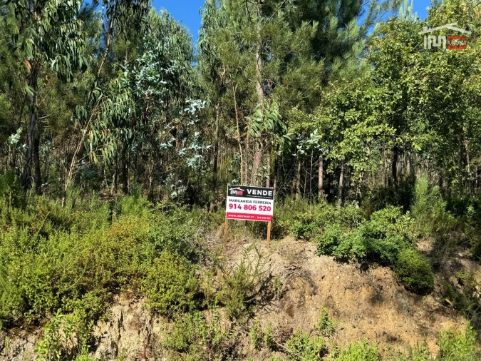 Terreno Agricola ou Rústico para Venda em Atouguia Foto 8