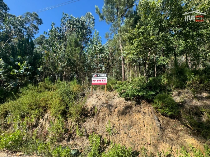 Terreno Agricola ou Rústico para Venda em Atouguia Foto 9