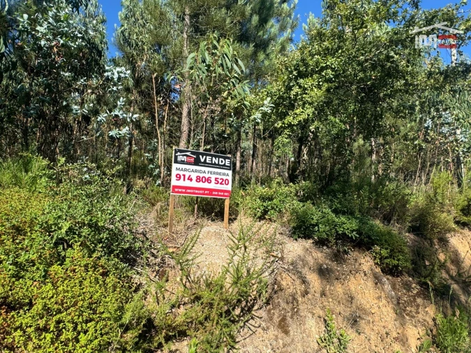 Terreno Agricola ou Rústico para Venda em Atouguia Foto 11