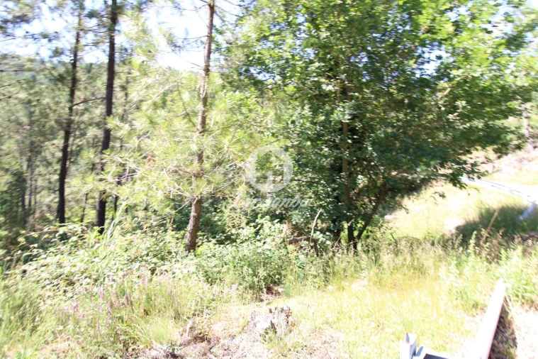 Terreno Agricola ou Rústico para Venda em Vilar da Veiga Foto 3