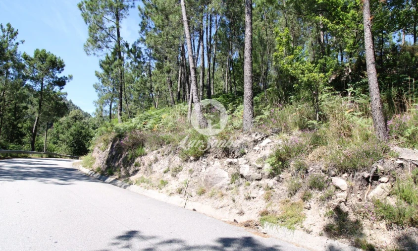 Terreno Agricola ou Rústico para Venda em Vilar da Veiga Foto 1
