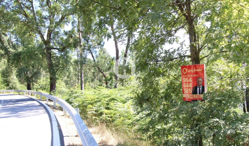 Terreno Agricola ou Rústico para Venda em Vilar da Veiga Foto 3