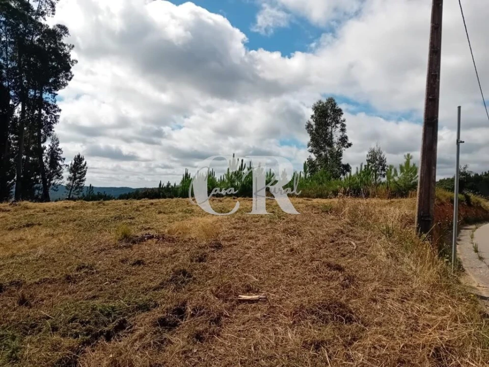 Terreno para Venda em Figueiró dos Vinhos e Bairradas Foto 4