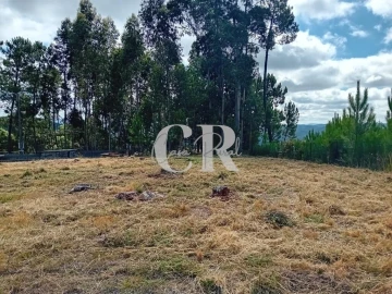 Terreno para Venda em Figueiró dos Vinhos e Bairradas