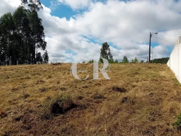 Terreno para Venda em Figueiró dos Vinhos e Bairradas