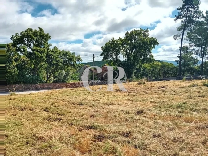 Terreno para Venda em Figueiró dos Vinhos e Bairradas Foto 10