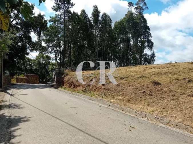 Terreno para Venda em Figueiró dos Vinhos e Bairradas Foto 2