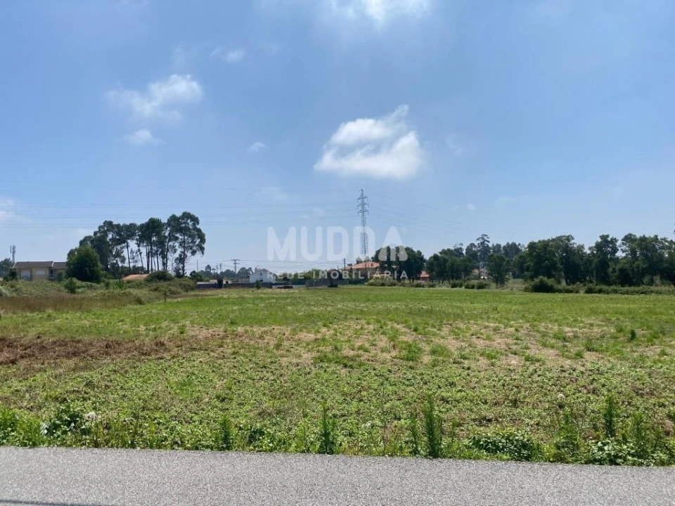 Terreno para Venda em Rio Meão Foto 3