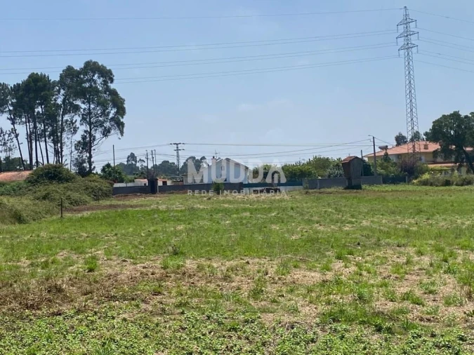 Terreno para Venda em Rio Meão Foto 4