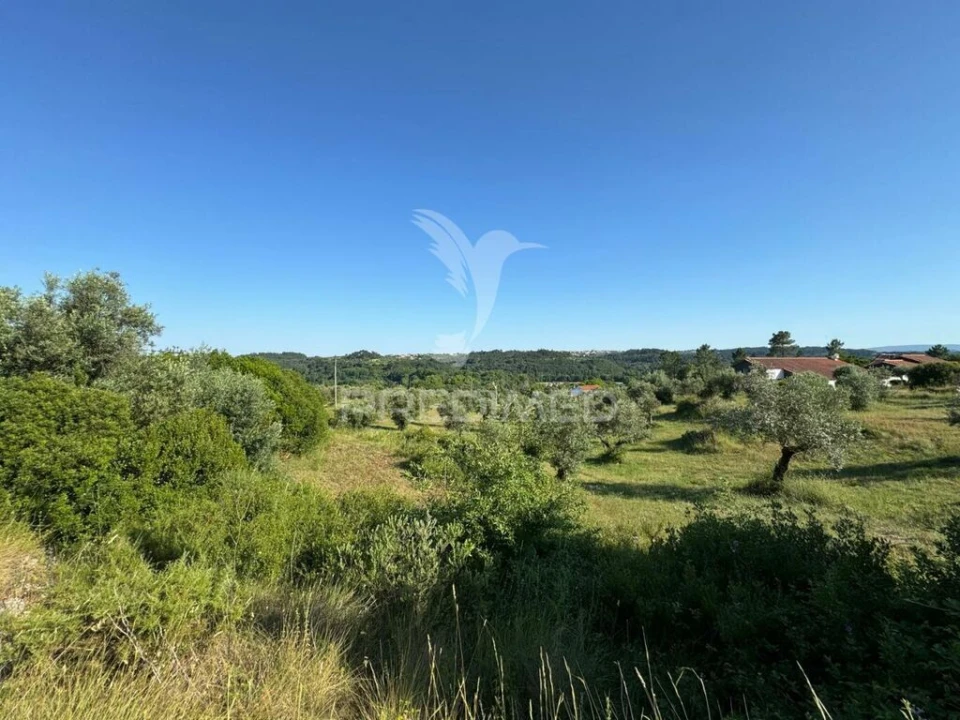 Terreno para Venda em Seiça Foto 3